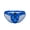 Royal Blue-Palms_Style_EW1826, variant on EW1836 X4D SW Swim Thongs Color Aqua