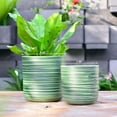 thumbnail image 5 of GreenShip 2 Pack Planter for Indoor Plants,10 inch Plant Pots with Drainage Hole,Modern Plant Pots,Decorative Flower Pots, 5 of 8