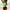 Green, variant on ZHUGeLI Tankini Swimsuits Tummy Control Swim Suits for Women 2024 Tankini Top Tummy Control Bathing Suit