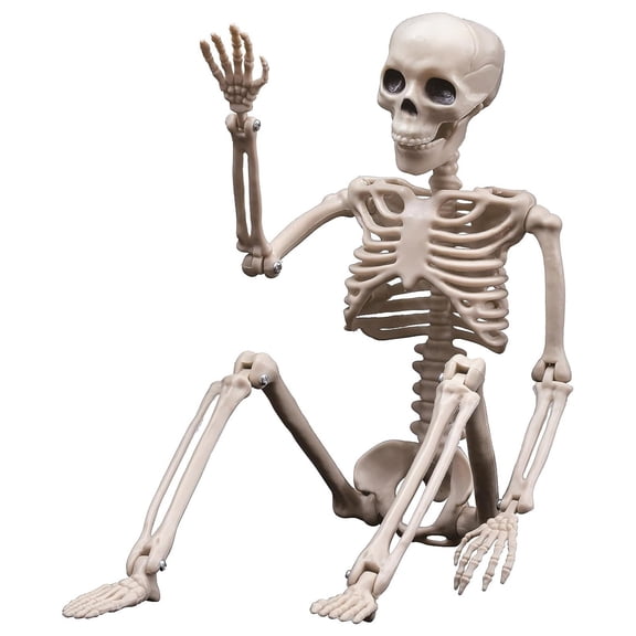 Halloween Skeleton Decoration 15.8 Inch, Poseable Hanging Skeleton with Movable Joints, Plastic Bone Figurine for Indoor Outdoor Haunted House Party Decor