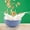 Blue, variant on LACKUST Drop Resistant Ramen Bowls Noodles,Ramen Bowl Children's Soup Bowl,Fall- Household Instant Tableware Ramen Bowl for Home Kitchen Office College Dorm Room,Beige