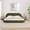 Green, variant on King Size Modern Curved Upholstered Platform Bed with Rounded Velvet Headboard, Low Profile Bed Frame for Bedroom, No Box Spring Needed, Green