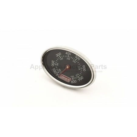 

THERMOMETER ASSEMBLY 99934961