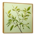 thumbnail image 2 of Designart "Collage Of Green Ferns In A Simple Design I" Leaves Floater Framed Wall Art Living Room, 2 of 5