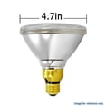 thumbnail image 4 of GE Lighting 17979 50 Watt Outdoor Halogen Floodlight PAR38 Light Bulb by GE Lighting…, 4 of 4