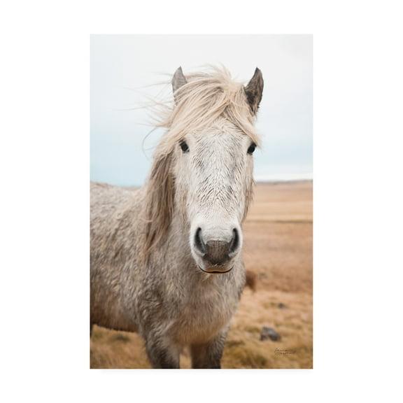 Trademark Fine Art 'Heida I' Canvas Art by Laura Marshall