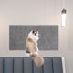 thumbnail image 4 of 5 alfombrillas autoadhesivas para rascar gatos, multifuncionales, recortables, para proteger muebles y paredes., 4 of 5