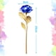 thumbnail image 5 of Flor de rosa dorada, rosa de flor preservada, regalo de rosas nunca marchitadas Idea presente para el día de San Valentín, día de la madre, día de acción de gracias, Navidad, cumpleaños Adepaton 2034853-3, 5 of 9
