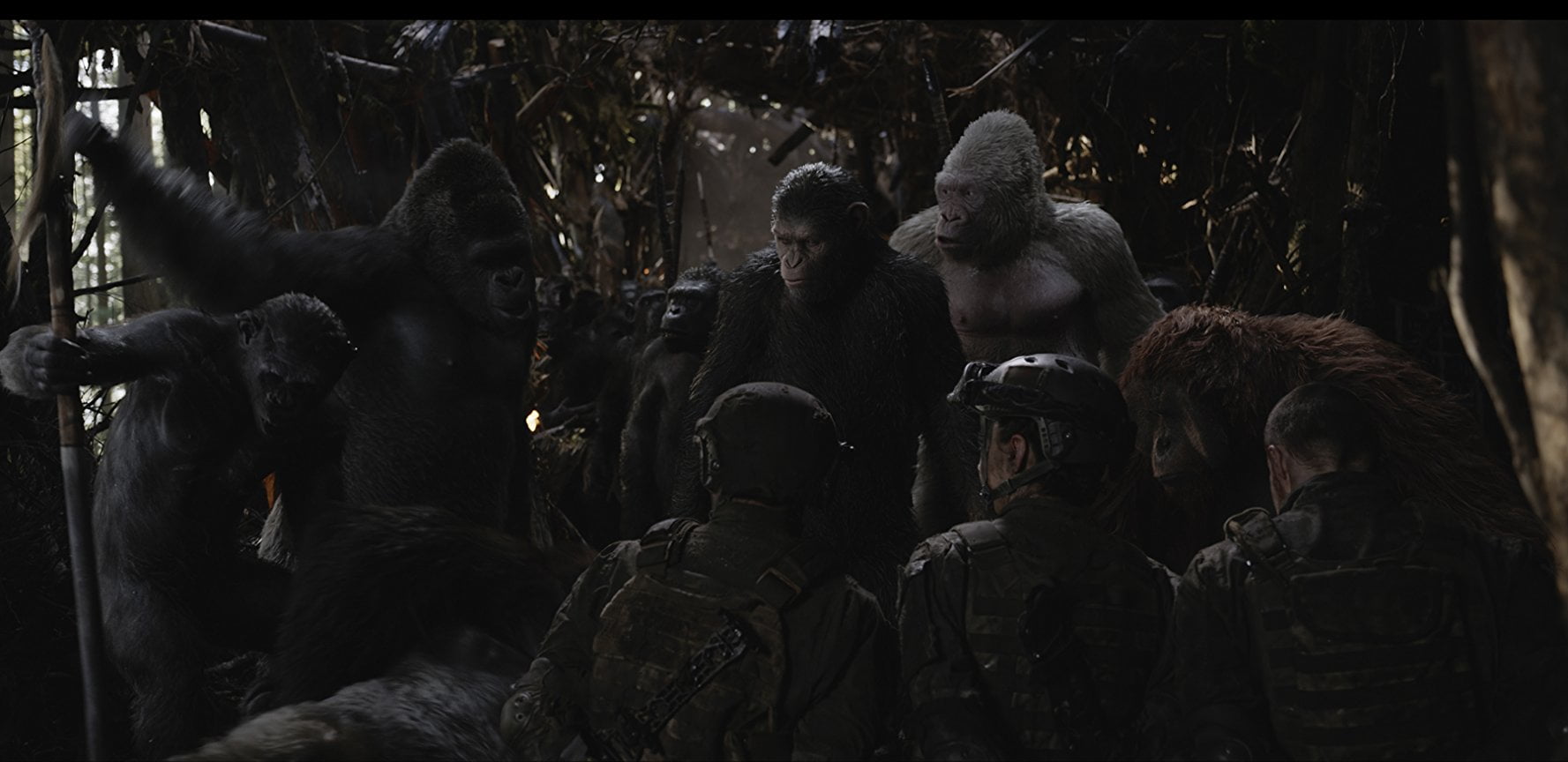 War For The Planet Of The Apes Blu Ray Dvd Digital Walmartcom