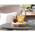 thumbnail image 2 of Nature's Wick Honey Mandarin Candle, 2 of 4