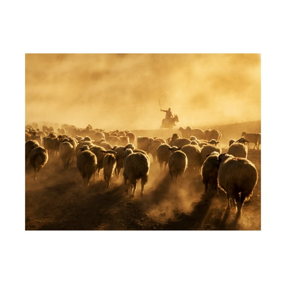 Canvas Wall Art - Feyzullah Tunc 'Light Power' Wall Art for Living Room, Bedroom, or Office Décor by Trademark Fine Art - 19 x 14 Inches