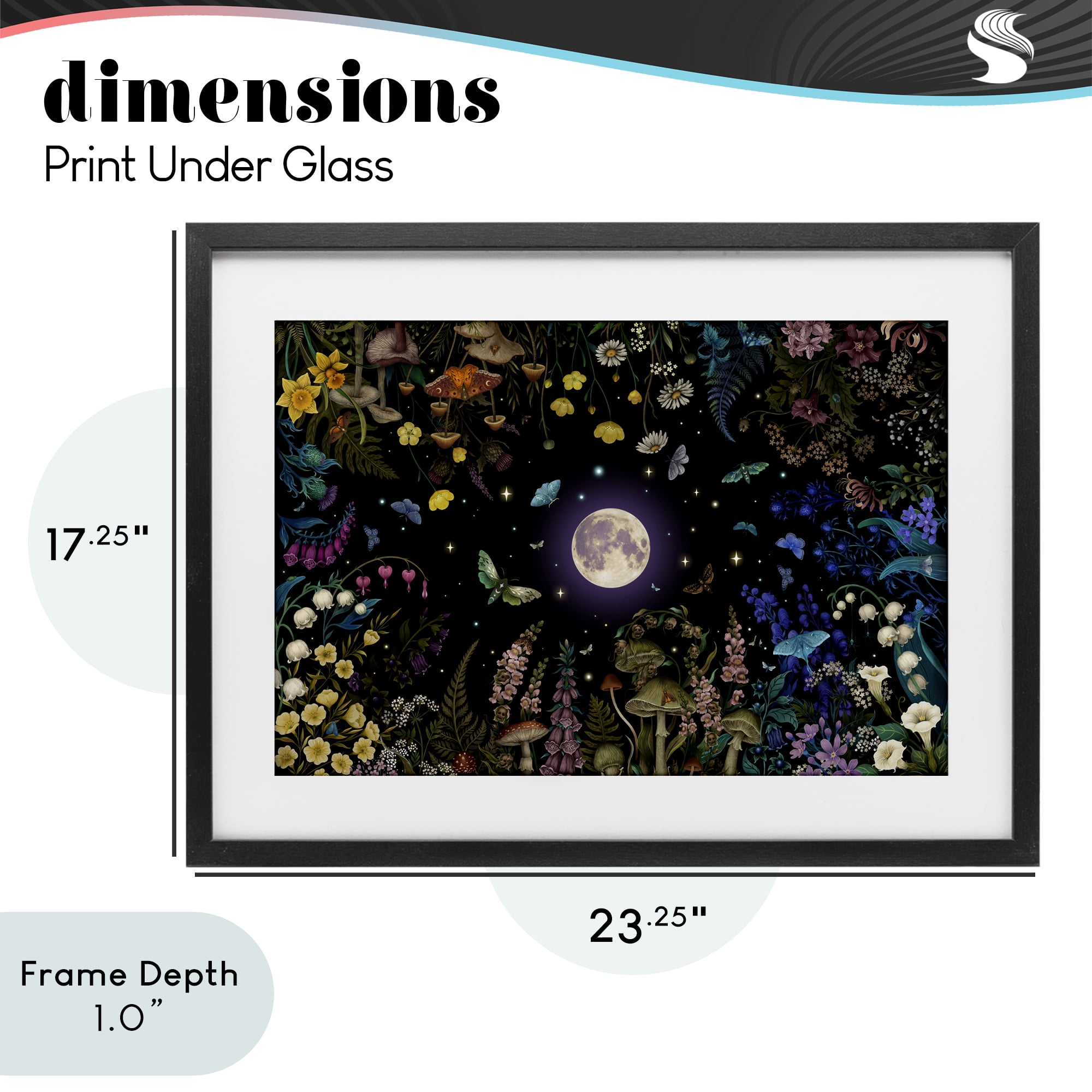 Stupell Industries Night Garden with Moth Black Framed Print Under Glass, design by Episodic Drawings