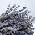 thumbnail image 3 of Advancent Paquetes de lavanda seca natural lavandas cosechadas ligeras hermoso ramo de flores para boda DIY fiesta en casa Decoración del hogar Lavanda seca 50 gramos Advancent HA084088-01, 3 of 6