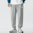 thumbnail image 4 of Pantalones deportivos para hombre, pantalones cortos lisos con gráficos finos, pantalones deportivos de verano para hombre, ropa de calle plana, ropa popular coreana de diseñador, 4 of 5