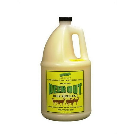 Deer Repellent :Deer Out 1 Gallon Concentrate Makes 10 Gallons