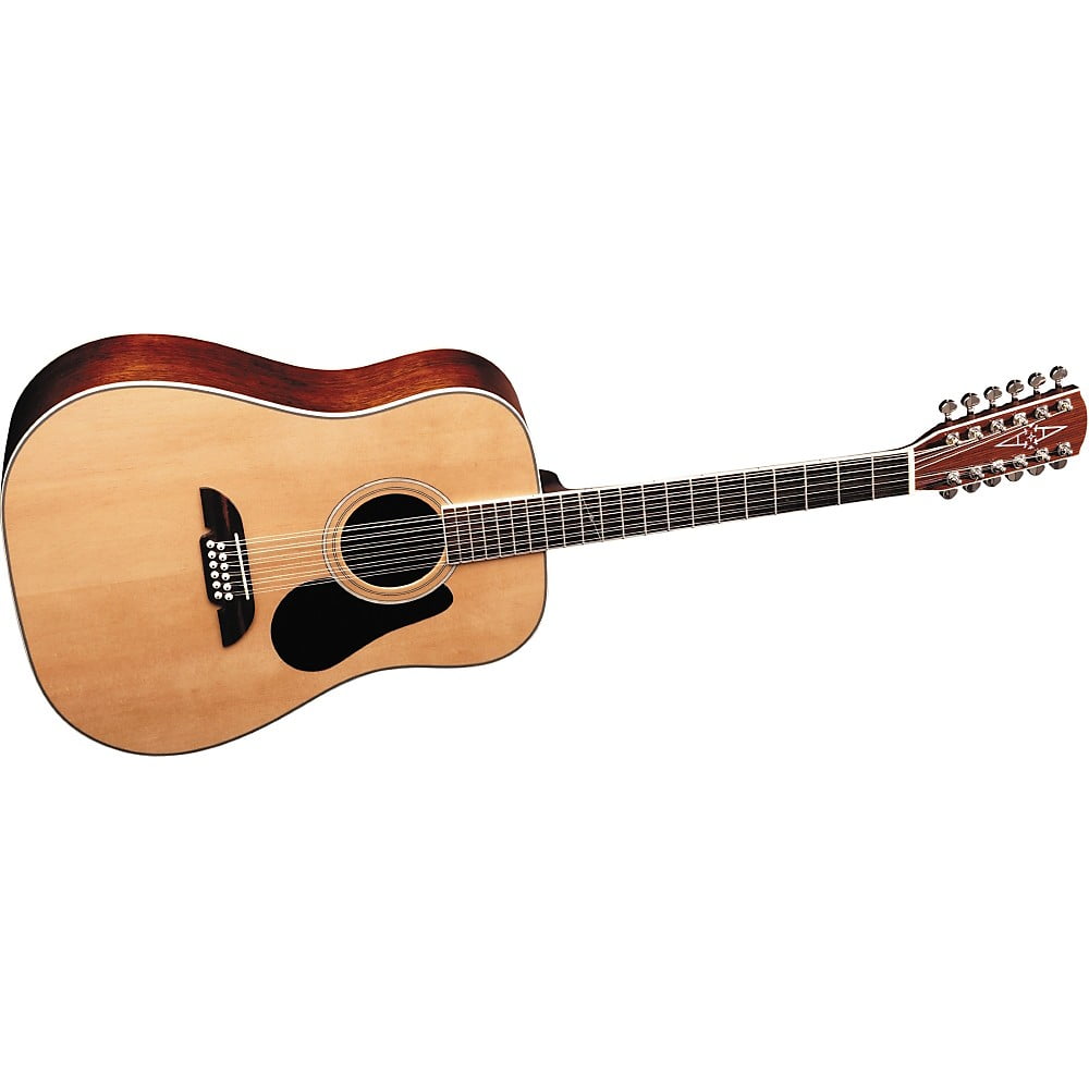 alvarez 12 string