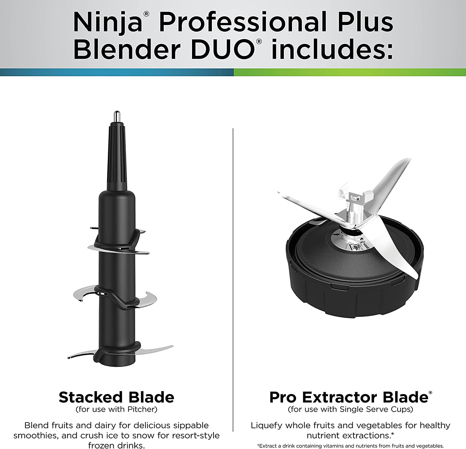 Licuadora Ninja BN751 Profesional Blender NINJA BN751