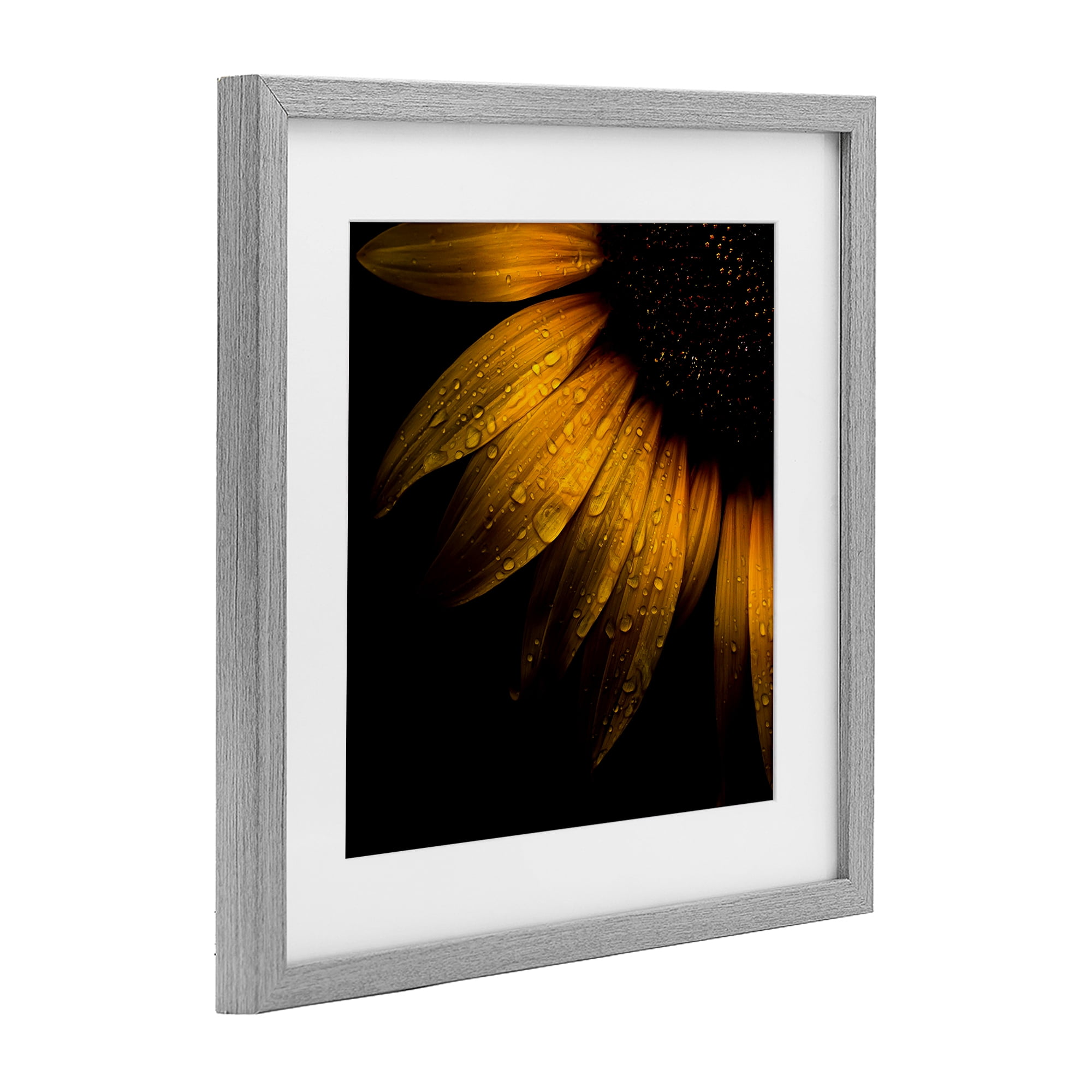 Sunflower Detail with Droplets Gray Framed Print Under Glass, design by Brian Carson Photography