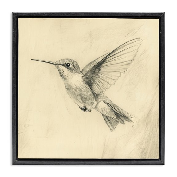 Stupell Industries Victorian Vintage Hummingbird Sketch Black Floating Frame Canvas Art, 18 x 18, by Petals Prints Design
