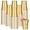 Gold2, variant on 50 Pack Black Plastic Cups 16 oz, Disposable Cups for Party, Heavy Duty Drinking Cups, Graduation Cup for Wedding Birthday Beer Taste Serving Snack Sample Tastings Barbecues Picnic