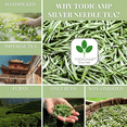 thumbnail image 3 of TODICAMP White Tea Silver Needle Tea - 3 Oz of Premium Silver Needle White Tea, 3 of 5