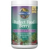 Garden of Life - Perfect Food Super Green Fruit & Veggie Formula Berry - 240 Grams
