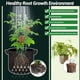 thumbnail image 3 of 5 Bolsas de Cultivo de 5 Galones, Bolsas de Cultivo de Plantas, Macetas Multiusos de Tela No Tejida con Asas, Macetas de Jardín Al Aire Libre, 3 of 5