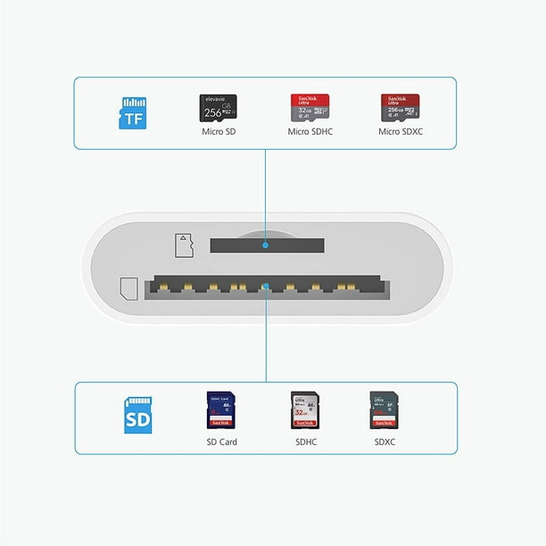 Test express de l'adaptateur Lightning vers lecteur de carte SD USB 3 pour  iPad Pro