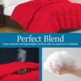 thumbnail image 2 of 100% Cotton All-Season Comforter - Box Stitched Comforter - Bedding with Corner Tabs Machine Washable Lightweight Color Red Solid Pattern Size Twin (66"x90"), 2 of 7