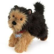 Cold Nose Puppies: Yorkshire Terrier