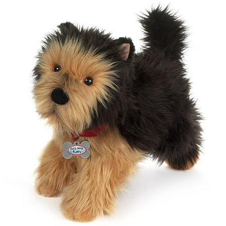 Cold Nose Puppies: Yorkshire Terrier