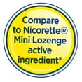 Equate Mini Nicotine Polacrilex Lozenges, 4mg, Mint, 108 Count
