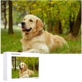 thumbnail image 4 of Coolnut 500 PCS Jigsaw Puzzles, Artwork Gift for Adults Teens Cute Golden Retriever Sitting in The Outside Wooden Puzzle Games, 20.5" x 14.9" 500 Pieces, 4 of 6