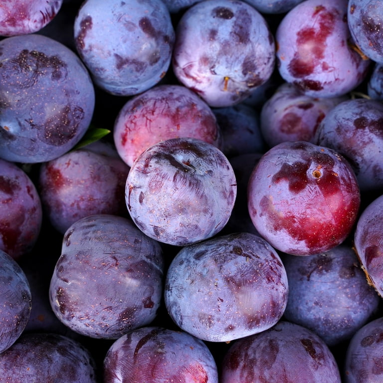Try this versatile purple fruit for a plum-delicious feeling