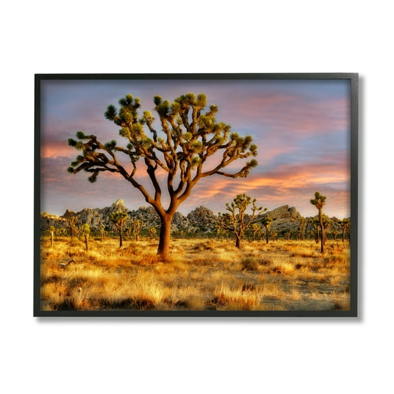 Stupell Industries Savanna Trees Photography Nature Photography Black Framed Art Print Wall Art, 14 x 11