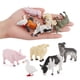 thumbnail image 3 of Vogacara 12 piezas, modelos de animales de granja, gallo, pato, Animal simulado, herramientas de educación temprana cognitiva sólida, juguetes Juguetes Educativos, 3 of 6