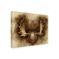 thumbnail image 2 of Trademark Fine Art 'Rustic Antler Mount II' Canvas Art by Ethan Harper, 2 of 4