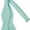 Aqua, variant on Men's Solid Color Traditional Freestyle Self-Tie Bow Tie - Lime Green