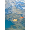 thumbnail image 2 of Rotenberg, Nancy 17x24 Gold Ornate Wood Framed with Double Matting Museum Art Print Titled - MI, Two leaves floating on Petes Lake, 2 of 4