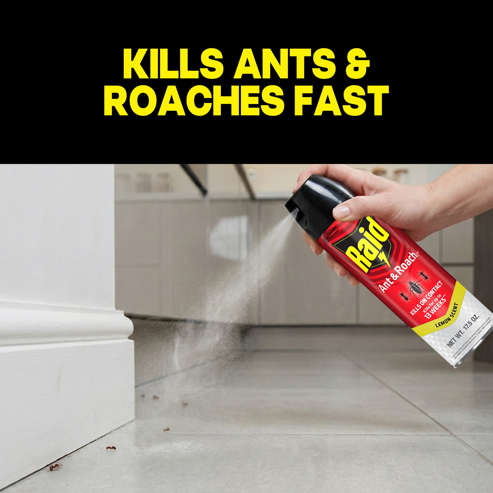 Raid Ant and Roach Insect Killer Aerosol Insecticide, Lemon Scent, 17.5oz