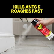 Raid Ant & Roach Insect Killer, Lemon Scent Bug Spray, Insect Spray, 17.5 oz