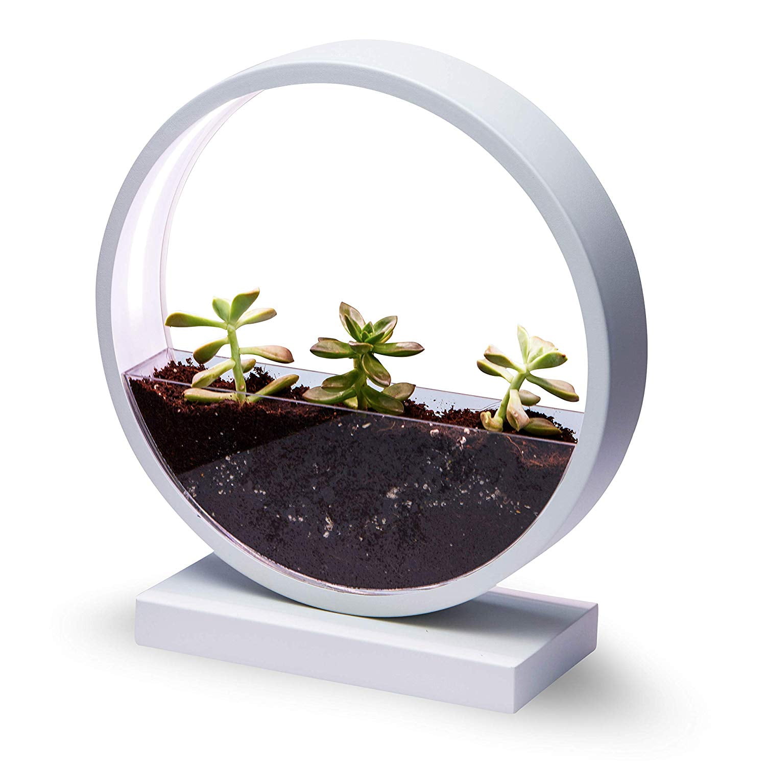 Make Lemonade Indoor LED Planter with Starter Kit, Round