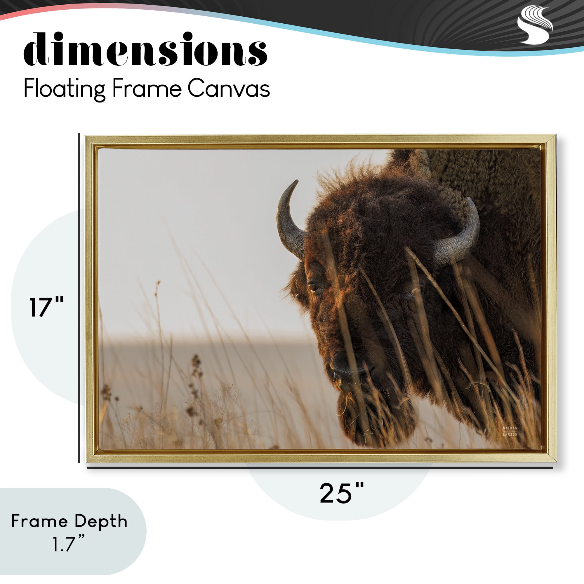 Stupell Industries Bison Sunset on Golden Prairie Gold Framed Floater Canvas Wall Art, design by Nathan Larson