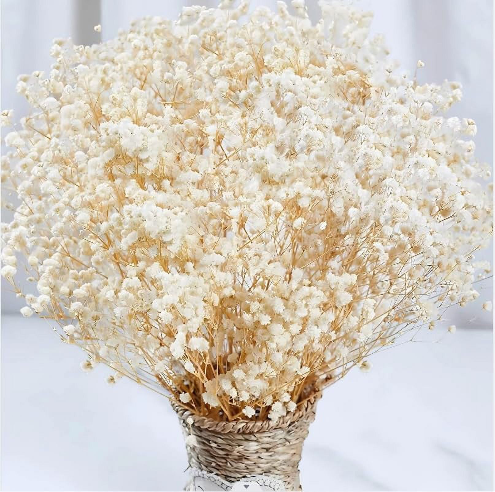2500+ Dried Babys Breath Flowers Bulk - 17" Ivory White Dried Flower Bouquet, Real Natural Gypsophila Branches for Vase Filler, Wedding, Table Centerpiece, Home Decor, DIY Wreath Floral, Crafts