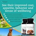 AminAvast Dog Kidney Supplement STF9 Supports Natural Kidney Function