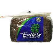 Exhale - Homegrown CO2 for Your Indoor Plants