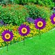thumbnail image 5 of Molino de Viento de Girasol de 36 Cm Bidireccional para Decoración de Jardín Al Aire Libre, 5 of 7