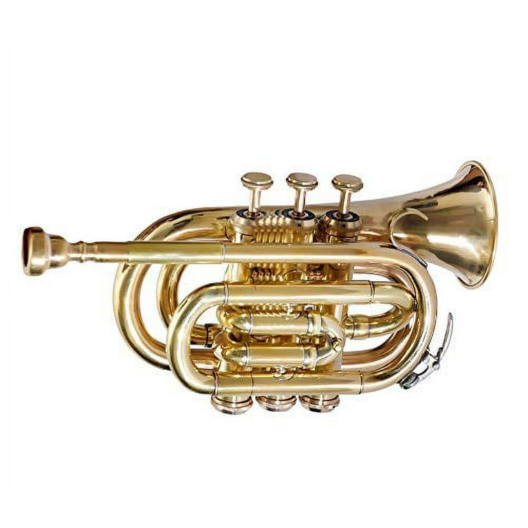 NEW BRAND Pocket Trumpet Bb Nickel Plated with Hard Case Mouthpiece GOOD  SOUND