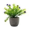 thumbnail image 1 of Decodeary Green Eco-friendly Artificial Money Tree In Pot Long-lasting Durability Realistic Appearance purple babysbreath 1Set, 1 of 6