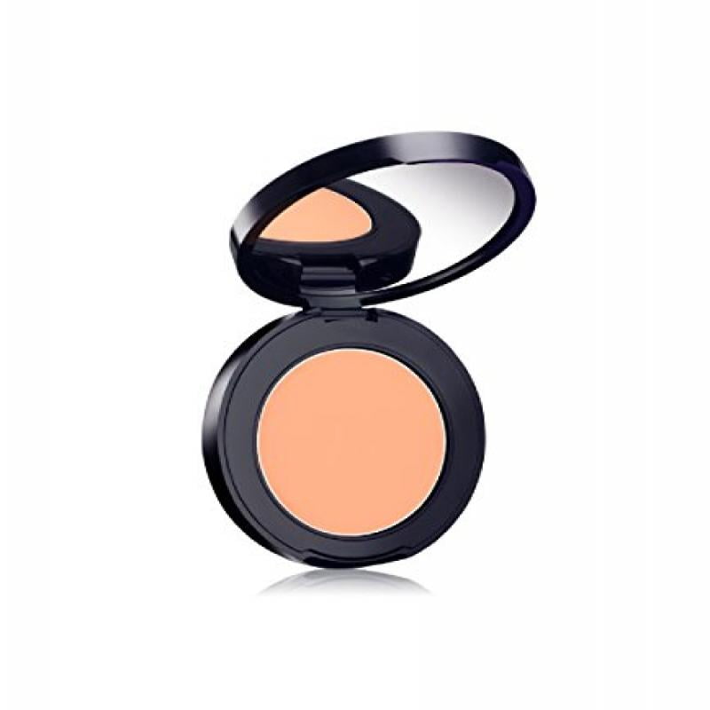 Estee Lauder Estee Lauder/Double Wear Stay In Place High Cover